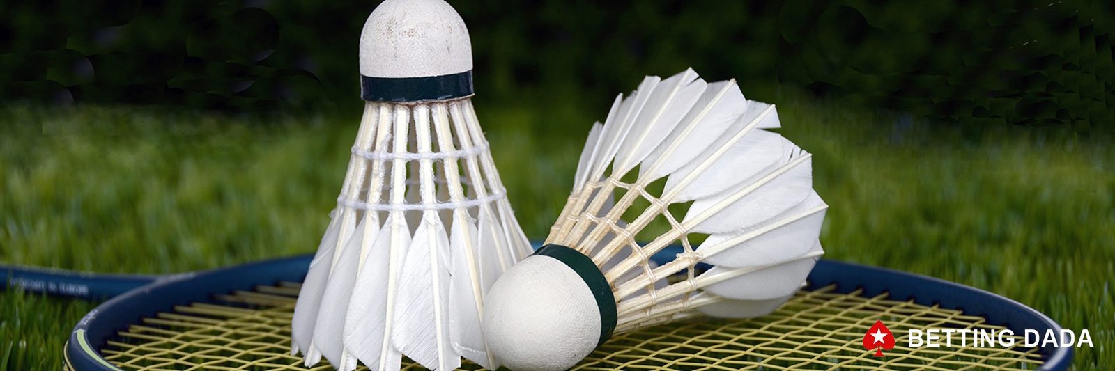 badminton 02 badminton 02