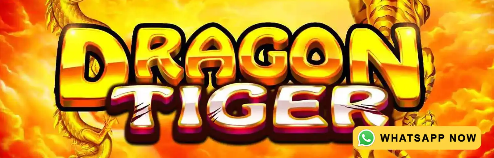 dragon dragon