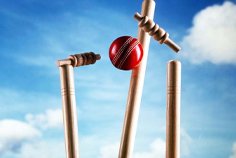cricket